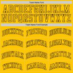 Custom Gold Black Basketball Jersey - Authentic Throwback Style Custom Gold Gold-Black Authentic Throwback Basketball Jersey - Image 4