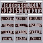 Custom Gray Black Crimson Cream Performance Long Sleeve T-Shirt Custom Gray Black Crimson-Cream Long Sleeve Performance T-Shirt - Image 4