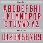 Custom Gray Red White Hockey Jersey - Personalized Ice Sports Apparel Custom Gray Red-White Hockey Jersey - Image 4