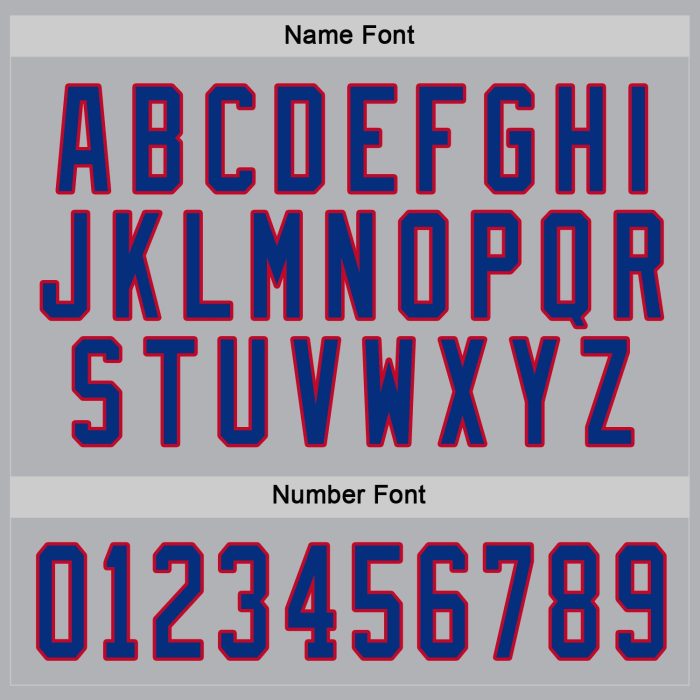 Custom Gray Red Hockey Jersey - Personalized Team Apparel, Sports Gear Custom Gray Royal-Red Hockey Jersey - Image 4