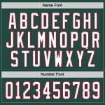 Custom Green and Red Hockey Jersey | Personalized Sports Apparel Custom Green White-Red Hockey Jersey - Image 4