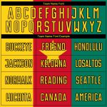 Cameroonian Flag Soccer Jersey - Custom Sublimation Kelly Green Gold Red-Black Uniform Custom Kelly Green Gold Red-Black - Image 4