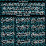 Midnight Green 3D Pattern Baseball Jersey - Custom Black and White Design Authentic Jersey Custom Midnight Green Black-White - Image 4