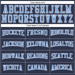 Navy Blue Light Blue White Performance Long Sleeve T-Shirt Salute to Service Custom Navy Light Blue-White Long Sleeve Performance - Image 4