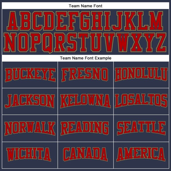Custom Salute To Service Performance T-Shirt - Navy Red Old Gold Long Sleeve Custom Navy Red-Old Gold Long Sleeve Performance - Image 4