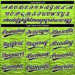 Neon Green Black White Custom Two-Button Unisex Softball Jersey Custom Neon Green Black-White Two-Button Unisex Softball - Image 4