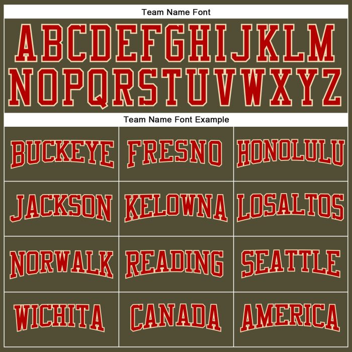 Custom Performance T-Shirt for Salute to Service - Olive Red-Cream Long Sleeve Custom Olive Red-Cream Long Sleeve Performance - Image 4