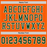 Custom Football Jersey - Authentic Orange Green White Mesh Design Custom Orange Green-White Mesh Authentic Football Jersey - Image 4