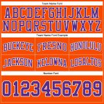 Custom Basketball Shorts - Authentic Throwback in Orange Purple White Custom Orange Purple-White Authentic Throwback Basketball - Image 3