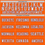 Custom Authentic Football Jersey - Orange Purple White Mesh Design Custom Orange Purple-White Mesh Authentic Football Jersey - Image 3