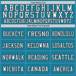 Custom Panther Blue Black-White Mesh Authentic Football Jersey for Men, Personalized Sports Apparel, Team Gear Custom Panther - Image 3