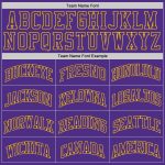 Custom Purple-Gold Basketball Jersey | Authentic Throwback Design Custom Purple Purple-Gold Authentic Throwback Basketball - Image 4