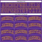 Custom Purple Gold Basketball Jersey Authentic Throwback Style 9538 Custom Purple Purple-Gold Authentic Throwback Basketball - Image 3