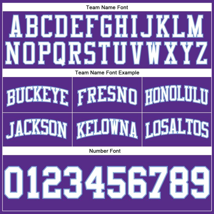 Authentic Throwback Basketball Shorts - Custom Purple White Light Blue Custom Purple White-Light Blue Authentic Throwback - Image 3