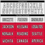 Custom Polish Flag Sublimation Soccer Jersey - Red White Black Uniform Custom Red White-Black Sublimation Polish Flag Soccer - Image 4