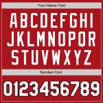 Custom Bomber Varsity Letterman Jacket Red White Gray Black Full-Snap Custom Red White Gray-Black Bomber Full-Snap Varsity - Image 5