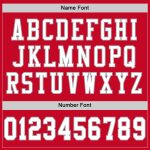Custom Authentic Football Jersey - Red White Gray Mesh Throwback Design Custom Red White-Gray Mesh Authentic Throwback Football - Image 4