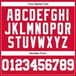 Custom Authentic Basketball Jersey - Red White Silver Gray Throwback Design Custom Red White-Silver Gray Authentic Throwback - Image 4