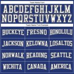 Custom Performance T-Shirt for Men Women - Royal White Black Gray Long Sleeve Custom Royal White Black-Gray Long Sleeve Performance - Image 4