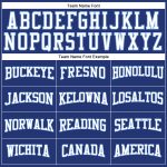 Custom Long Sleeve Performance T-Shirt in Royal White and Light Blue Custom Royal White-Light Blue Long Sleeve Performance - Image 4