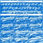 Custom Softball Jersey Unisex Two-Button Royal White-Light Blue Style 4287 Custom Royal White-Light Blue Two-Button Unisex - Image 4