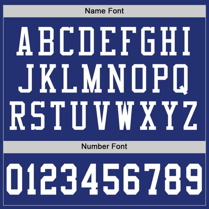 Custom Football Jersey - Authentic Royal White Mesh Design Custom Royal White Mesh Authentic Football Jersey - Image 4