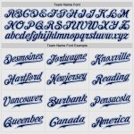 Custom Light Blue Pinstripe Navy Baseball Jersey Authentic Raglan Sleeves Custom White Light Blue Pinstripe Navy-Light Blue - Image 5