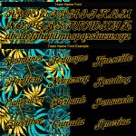 Custom Womens Black-Gold Tropical Plants 3D V-Neck Jersey, Cropped Baseball Style Custom Women's Black Black-Gold Tropical - Image 4